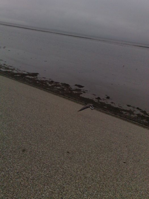 04042010973.jpg