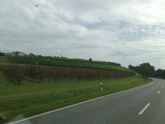 040920112706.jpg