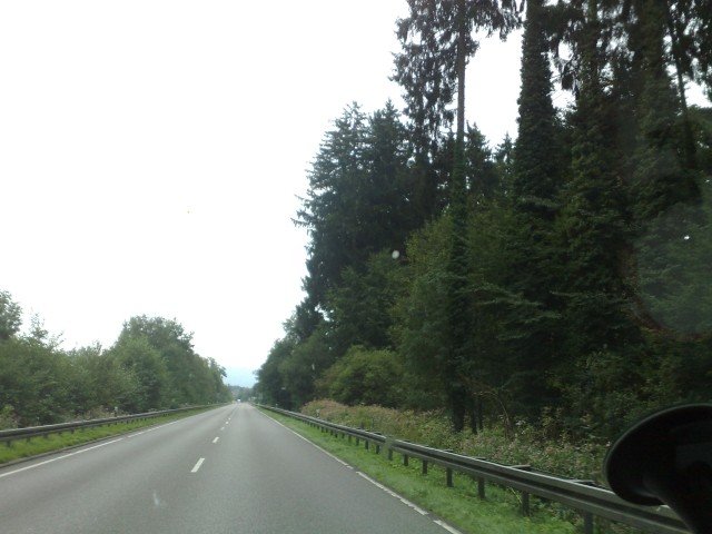 040920112710.jpg
