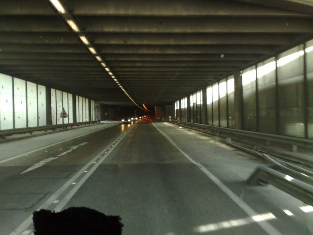 040920112722.jpg