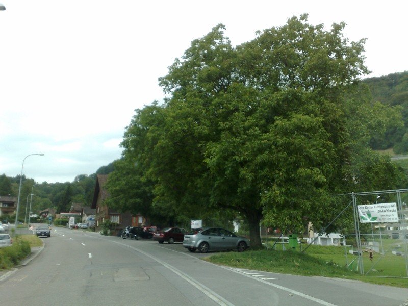 040920112759.jpg