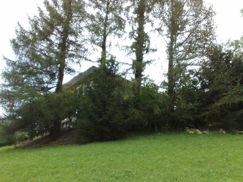 040920112761.jpg