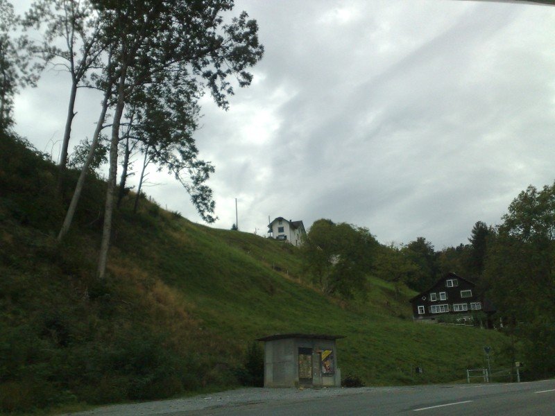 040920112762.jpg
