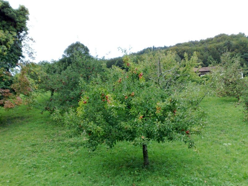 040920112764.jpg