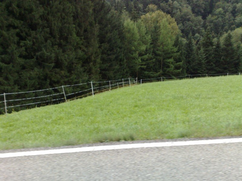 040920112775.jpg