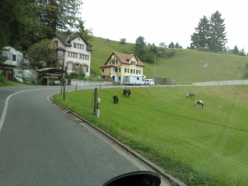 040920112796.jpg