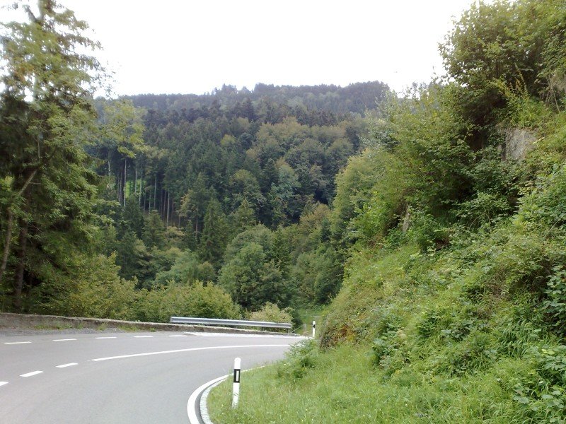040920112797.jpg