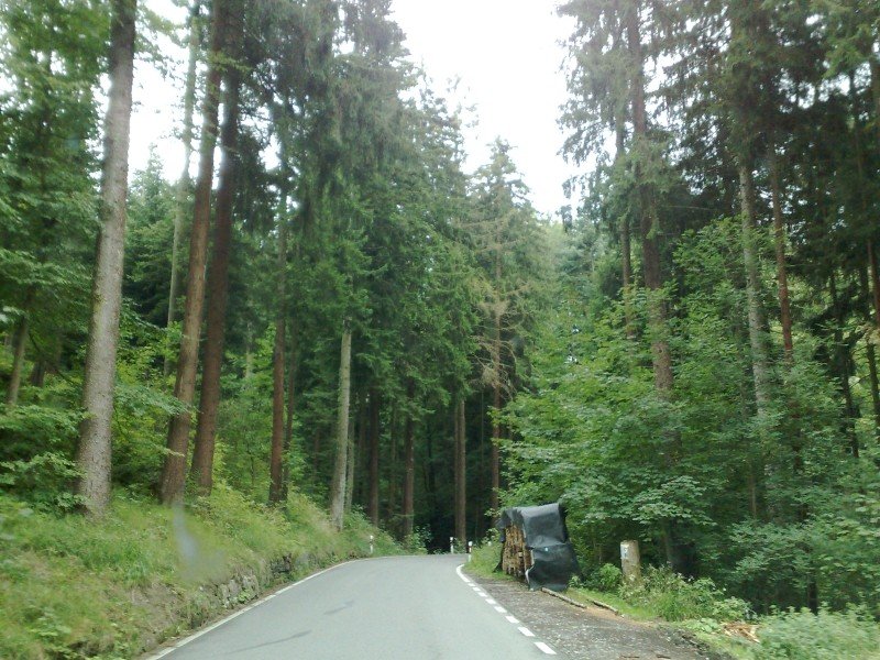 040920112823.jpg