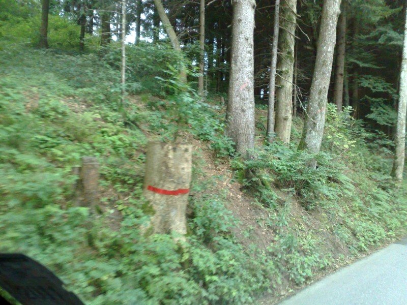 040920112825.jpg
