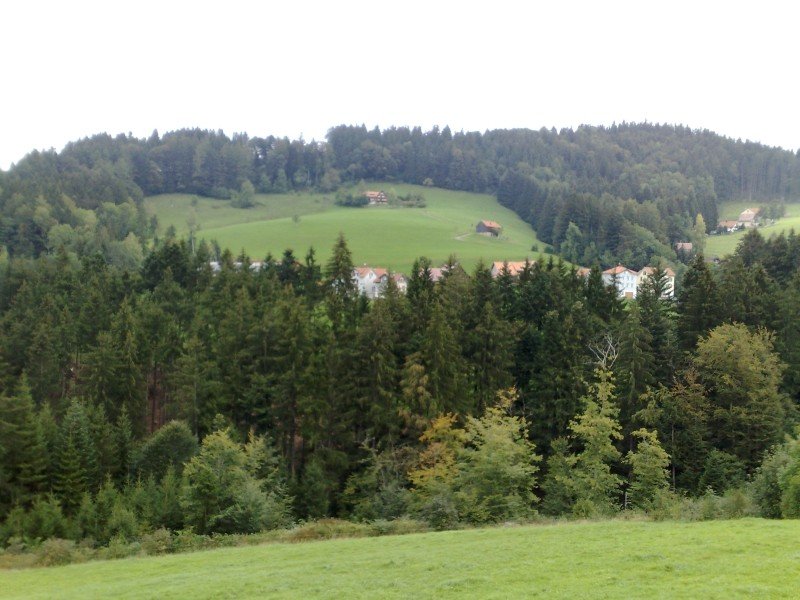 040920112830.jpg