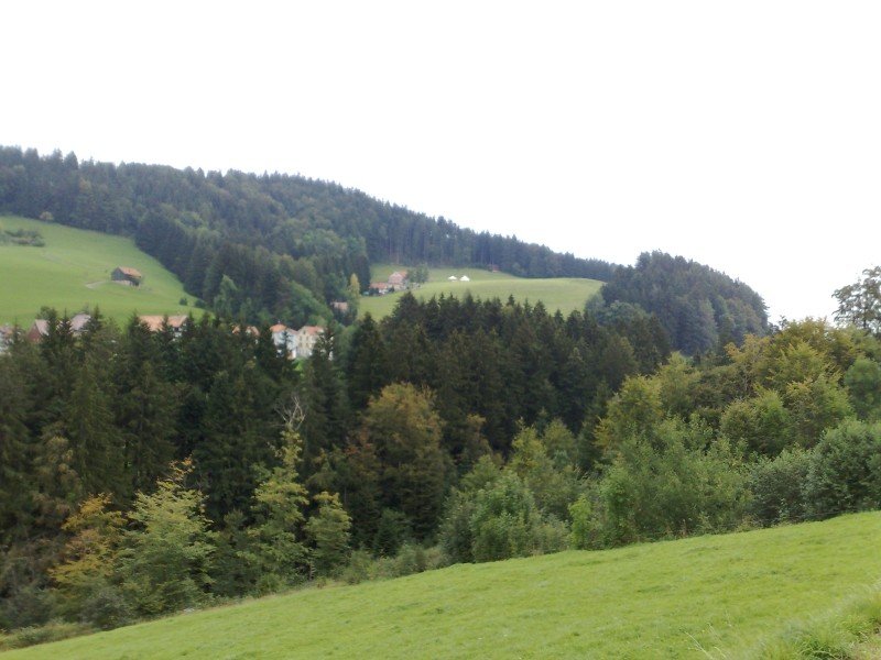 040920112832.jpg