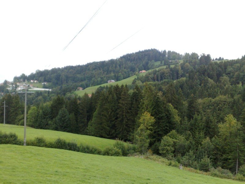 040920112833.jpg