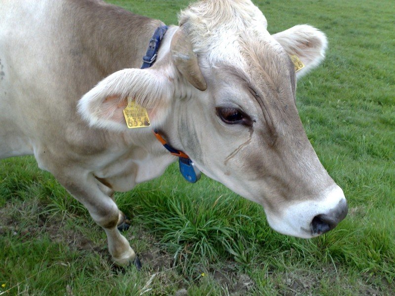 040920112837.jpg