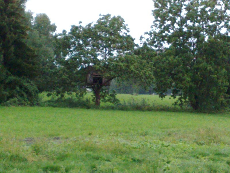 040920112904.jpg