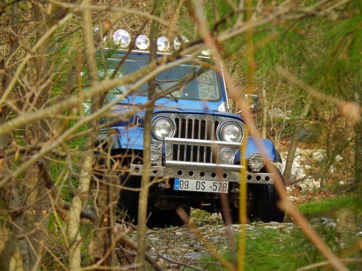 041.jpg