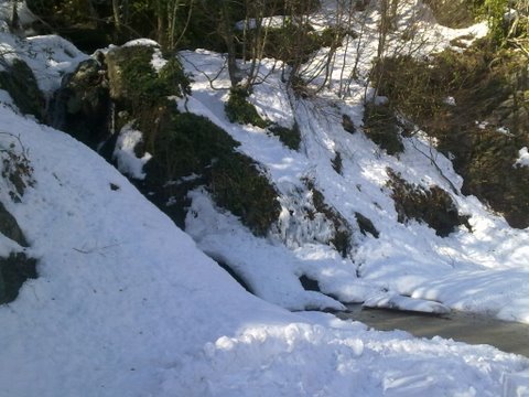 05.02.2012 yalova (22).jpg
