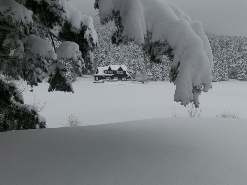 05022010017.jpg