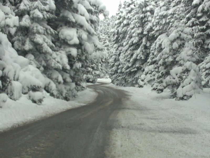 05022010030.jpg