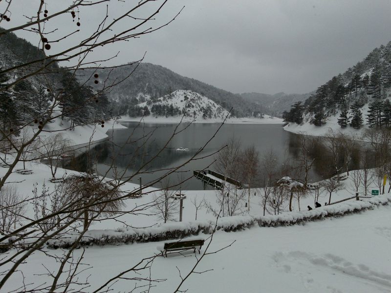 05022010054.jpg