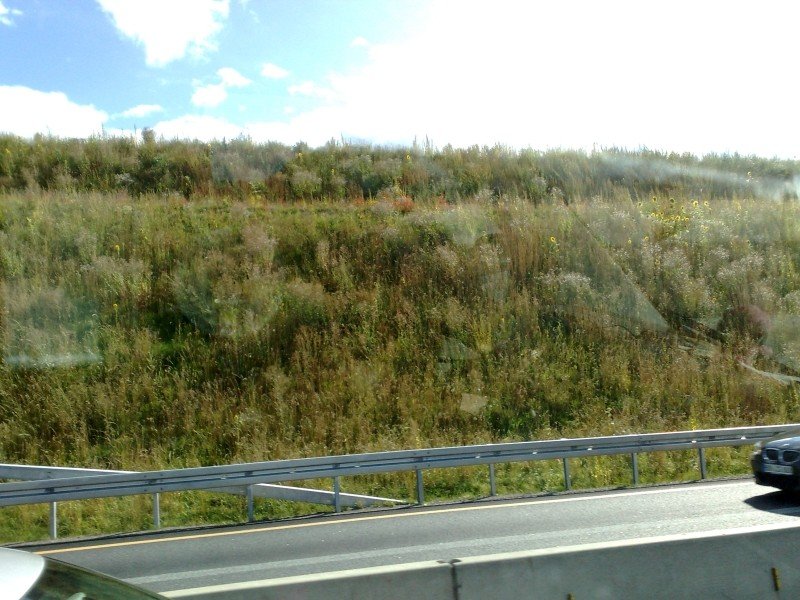 050920112963.jpg