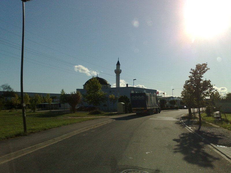 050920112978.jpg