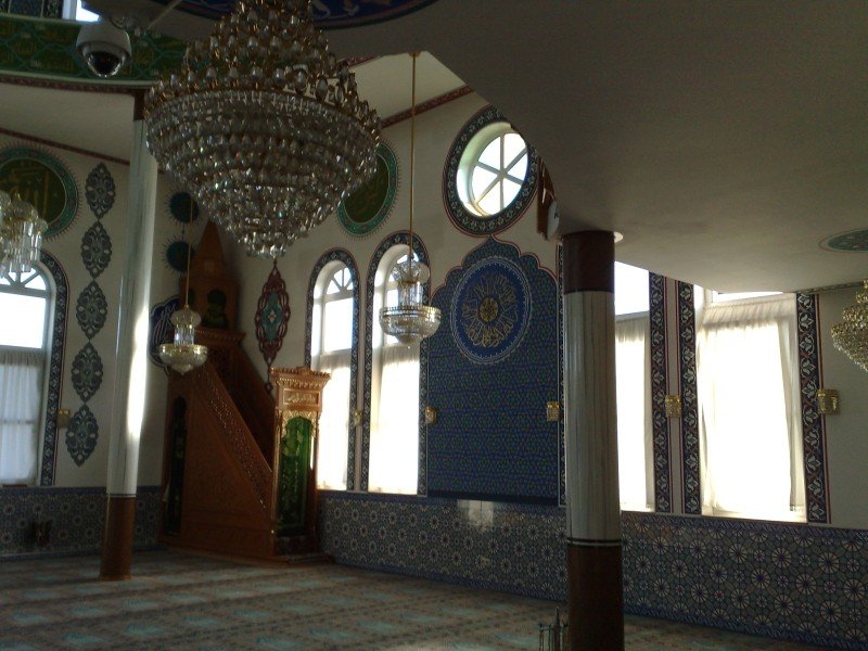 050920112982.jpg