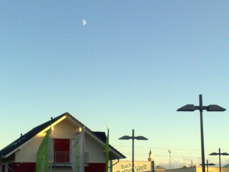050920112991.jpg