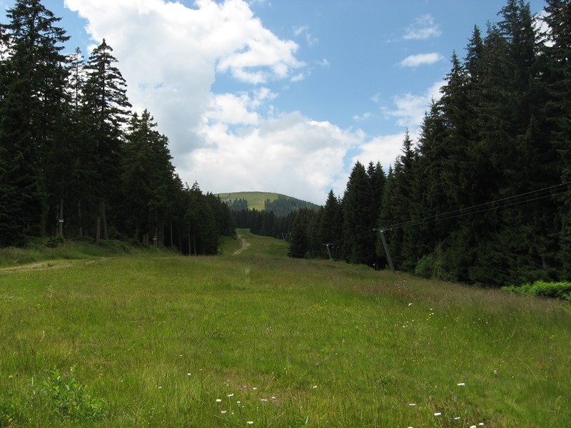 06.07.2011 103.JPG