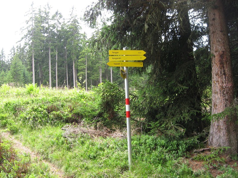 06.07.2011 106.JPG