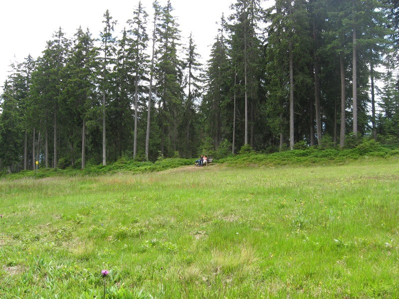 06.07.2011 107.JPG