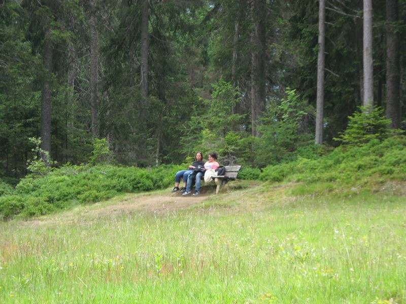 06.07.2011 108.JPG