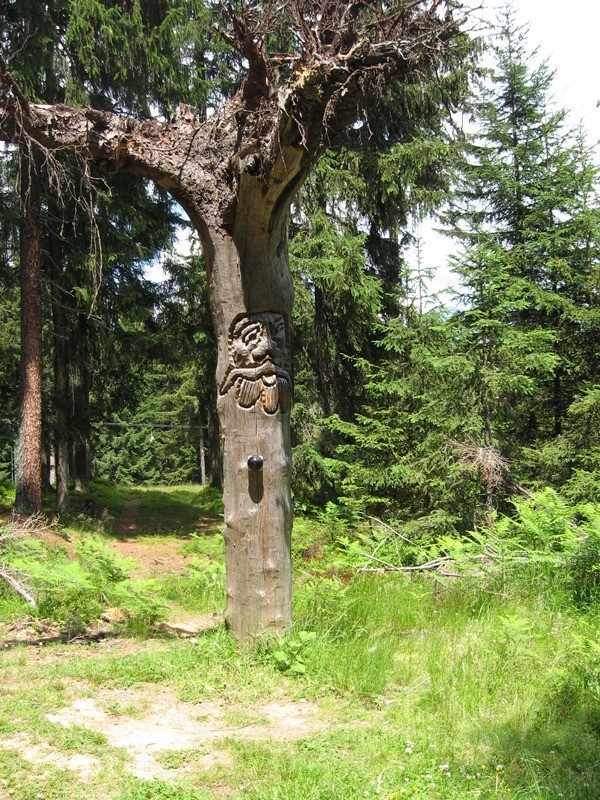 06.07.2011 109.JPG