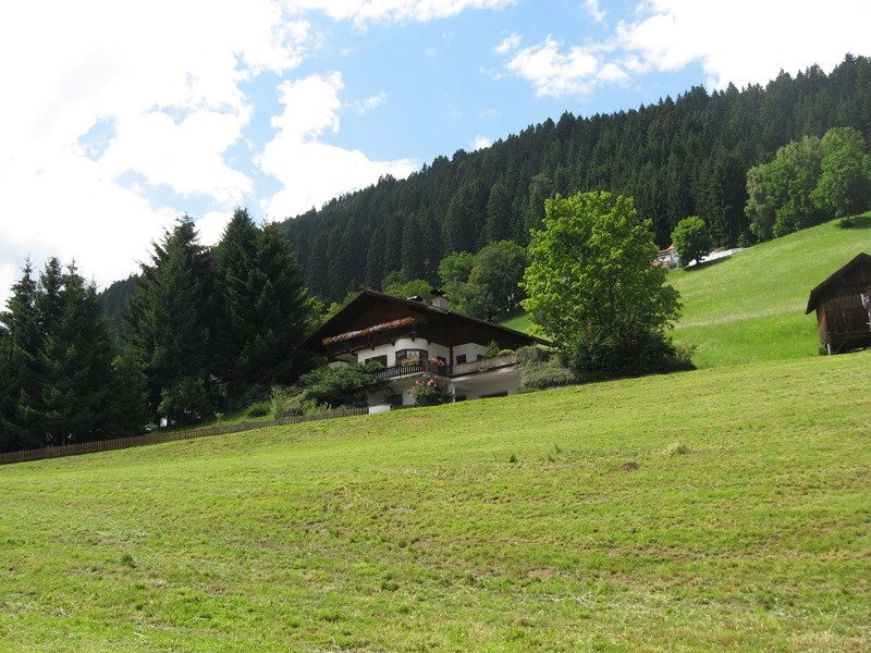 06.07.2011 110.JPG