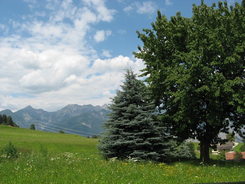 06.07.2011 112.JPG