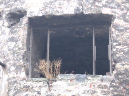 06.12.2009 Galata gezisi 032.jpg