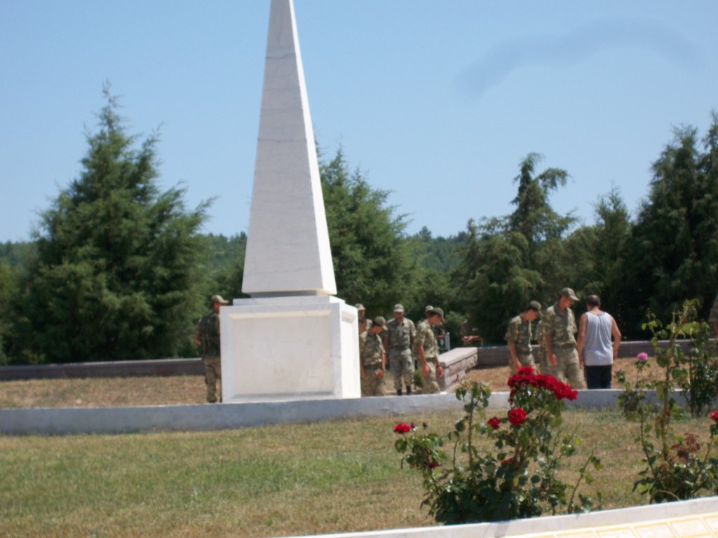 060.JPG