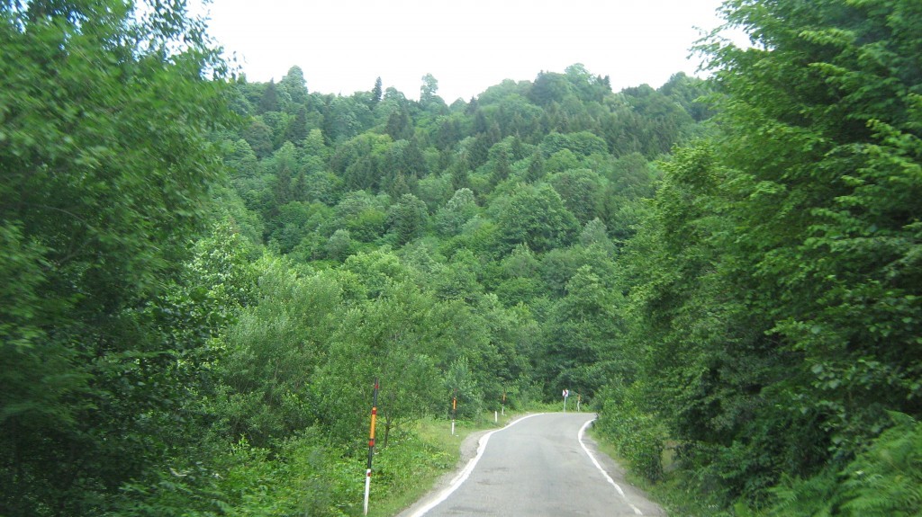 060.JPG