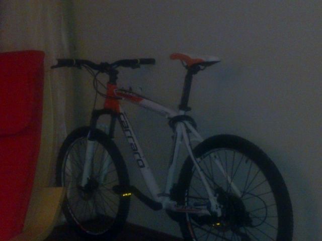 06032011165.jpg