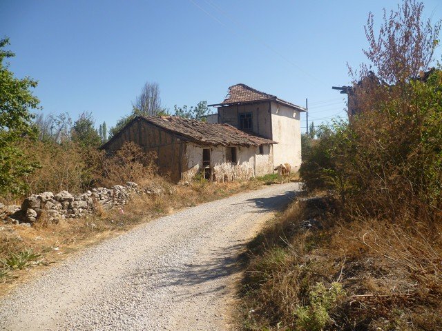 07.JPG
