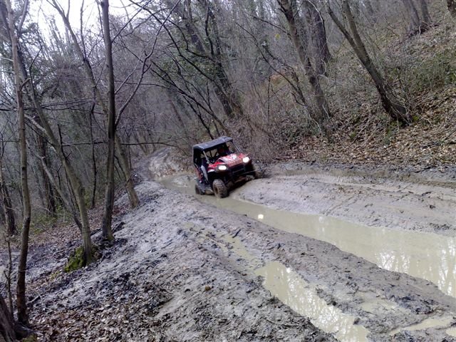 07022009329.jpg