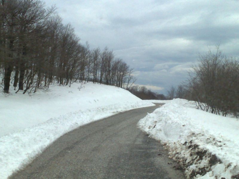 07022010368.jpg