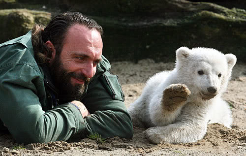 070323_knut_11_AFP.jpg