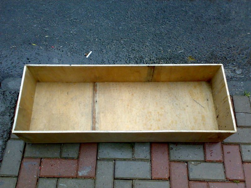 07062010294.jpg