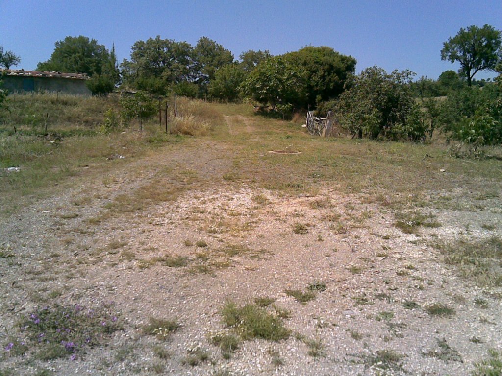 07062012.jpg