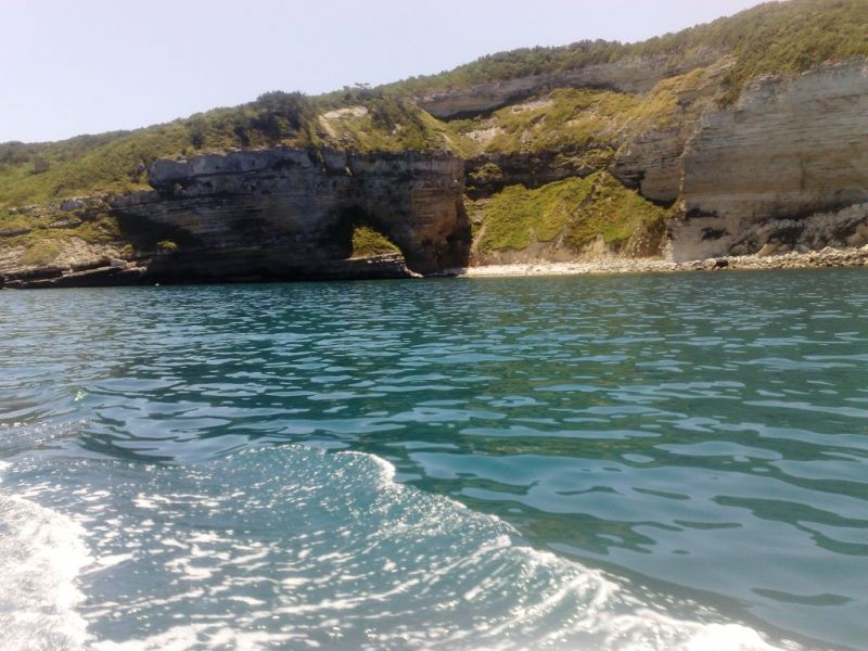07072008267.jpg