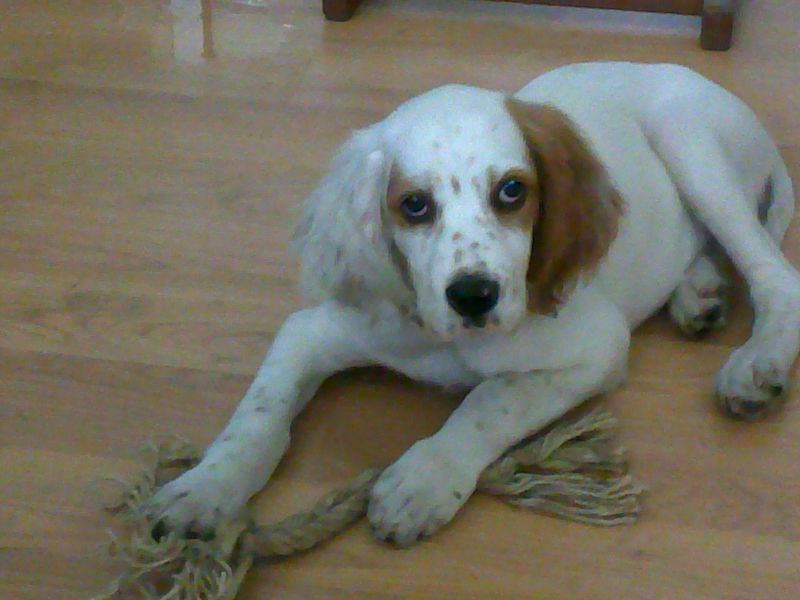 07072009066.jpg