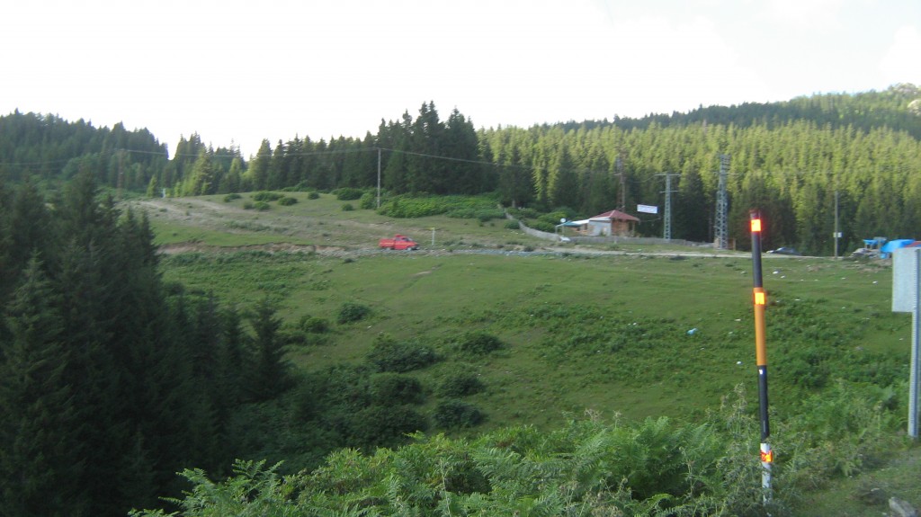 071.JPG