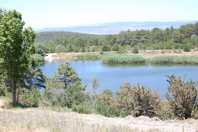 08-08-08 ankara karÃƒÂƒÃ‚Â„ÃƒÂ‚Ã‚Â±ÃƒÂƒÃ‚Â…ÃƒÂ‚Ã‚ÂŸÃƒÂƒÃ‚Â„ÃƒÂ‚Ã‚Â±k 022.jpg