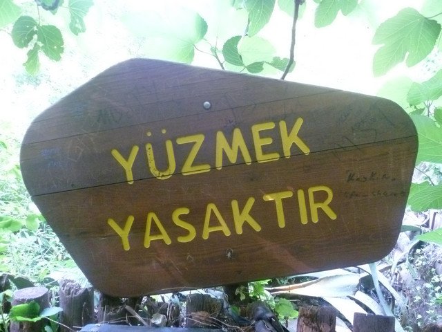 08.JPG