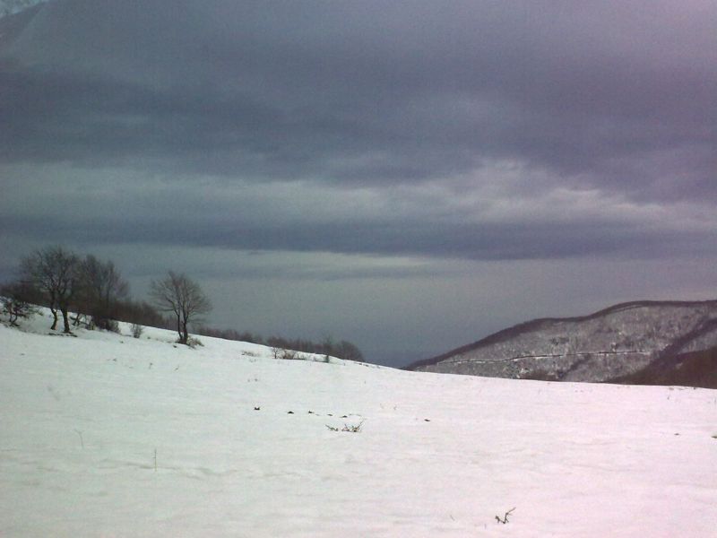 08012009215.jpg